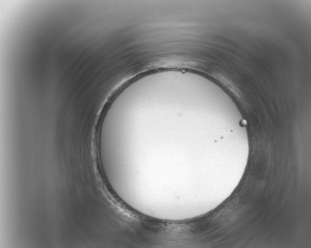 X0000067340848200604071349