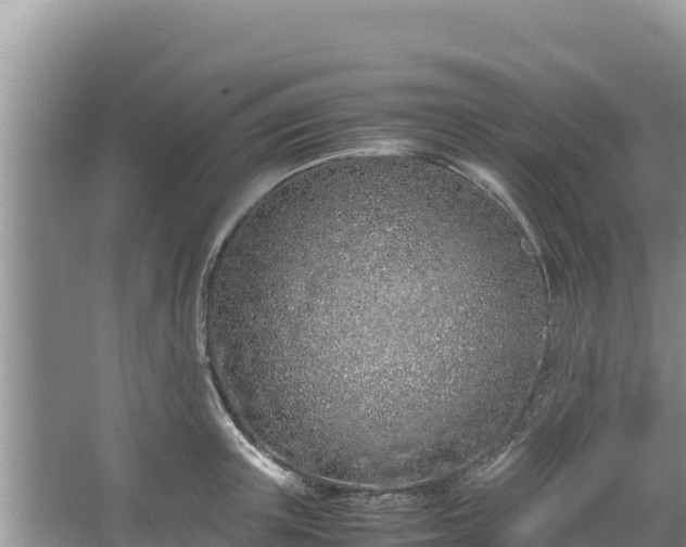 X0000067340851200604071349