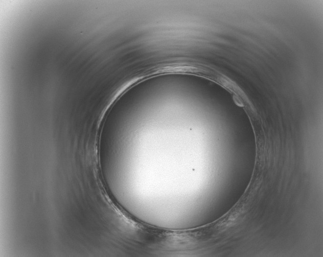 X0000067340852200604071349