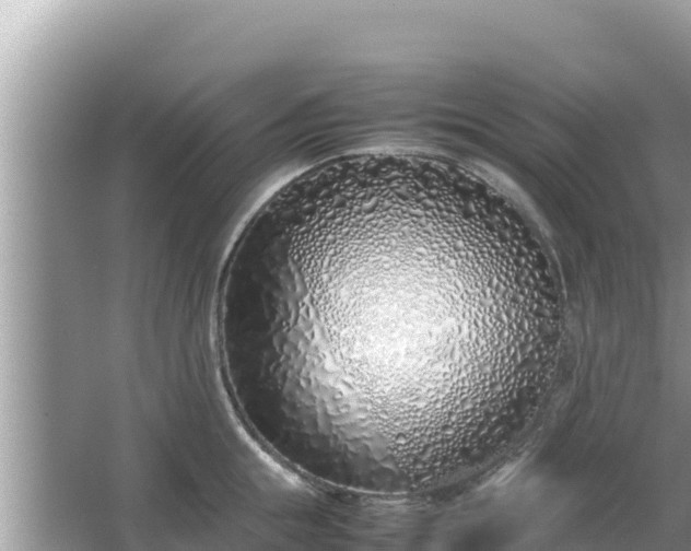 X0000067340855200604071349