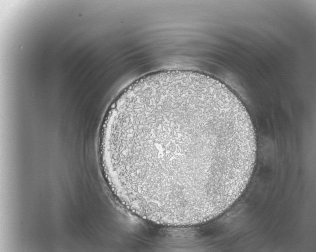 X0000067340856200604071349