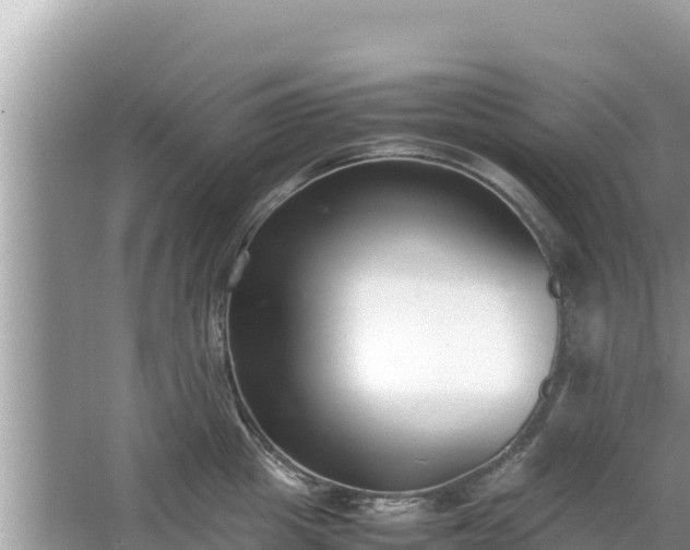 X0000067340857200604071349