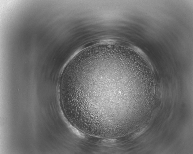 X0000067340859200604071349