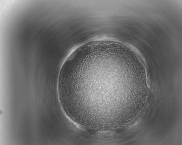 X0000067340863200604071349