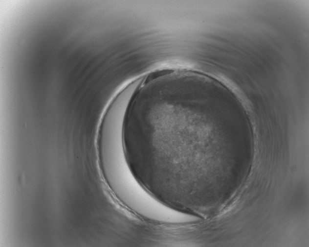 X0000067340864200604071349