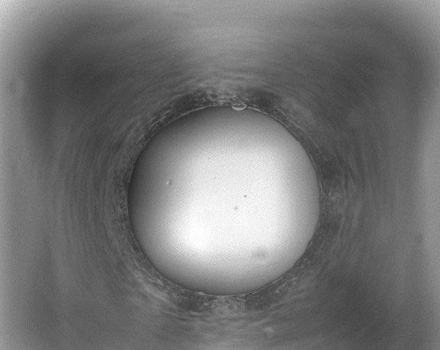 X0000067340865200604071349