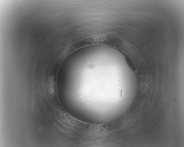 X0000067340866200604071349