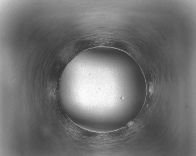 X0000067340867200604071349