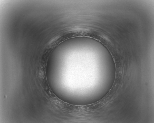 X0000067340869200604071348