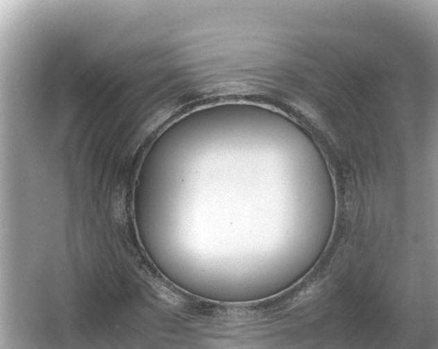 X0000067340873200604071348