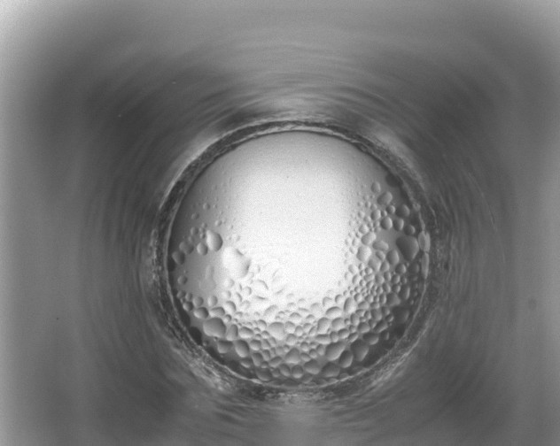 X0000067340875200604071348