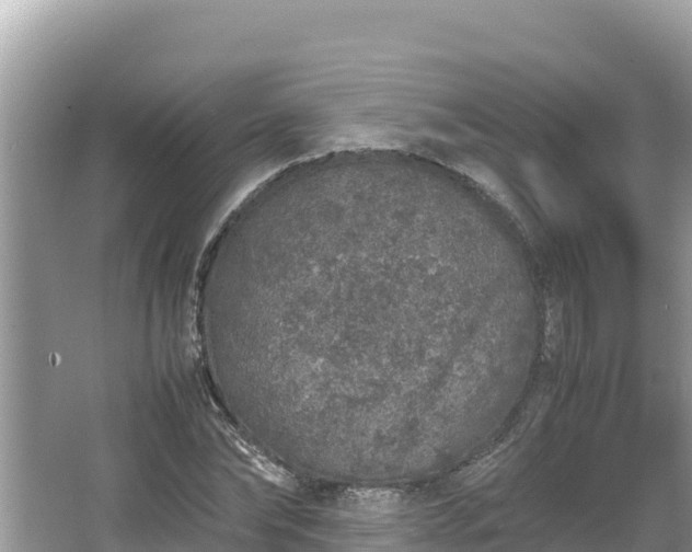 X0000067340878200604071348