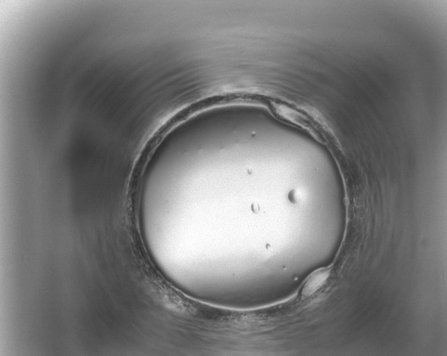 X0000067340879200604071348