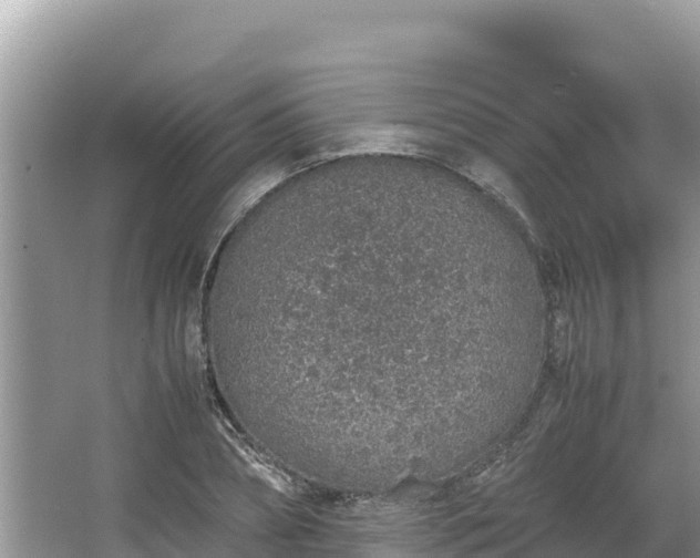 X0000067340882200604071348