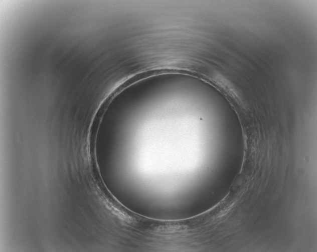 X0000067340884200604071348