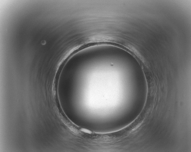 X0000067340885200604071348