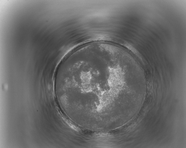 X0000067340886200604071348