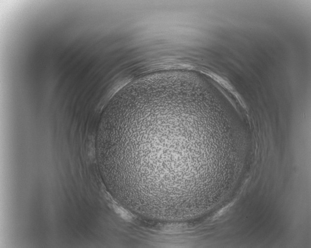 X0000067340889200604071348