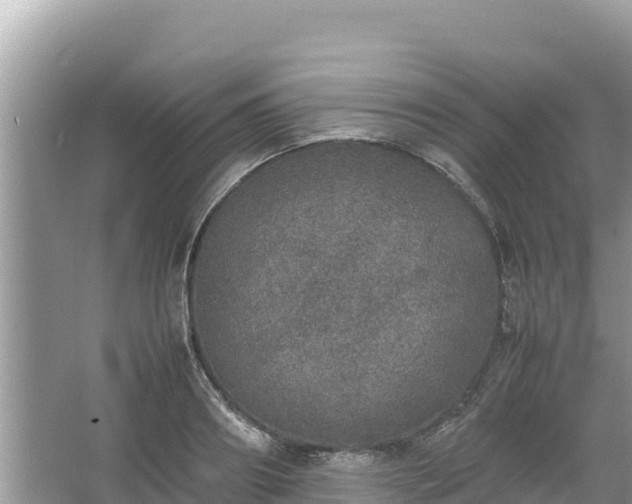 X0000067340890200604071348