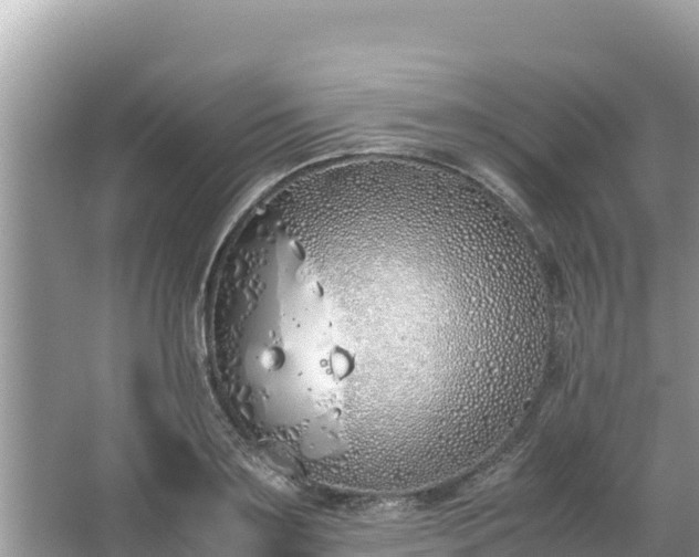 X0000067340891200604071348