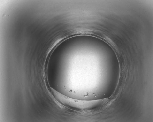 X0000067340893200604071348