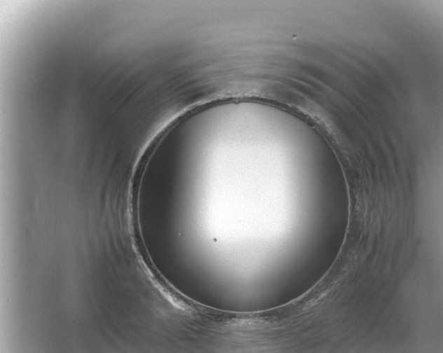 X0000067340894200604071348