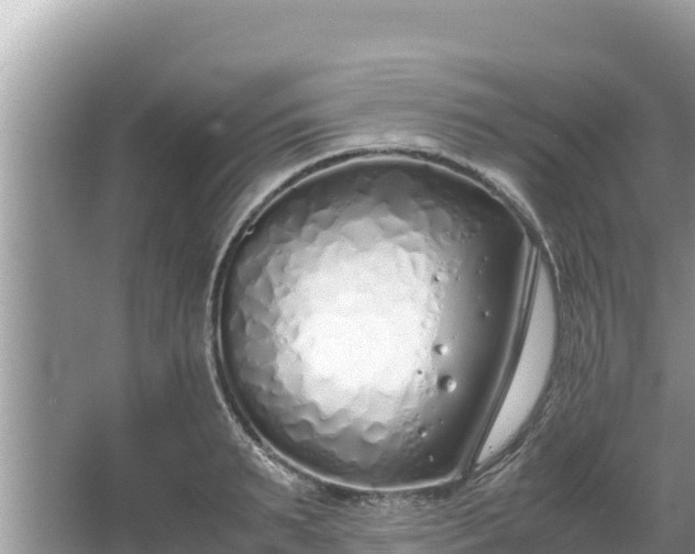 X0000067340895200604071348