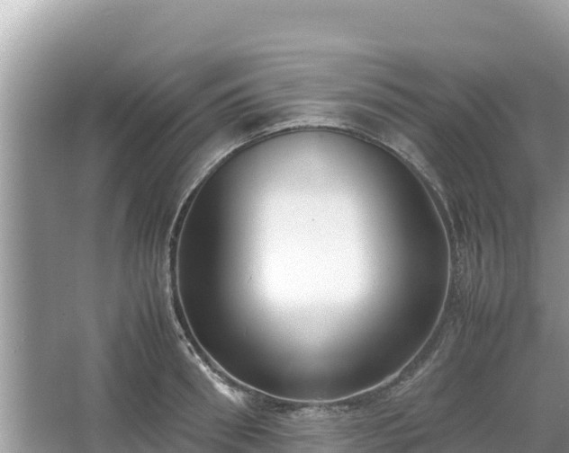 X0000067340898200604071348