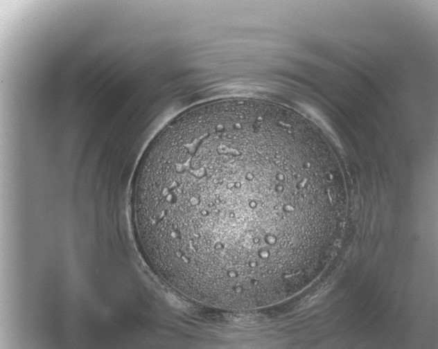 X0000067340899200604071348