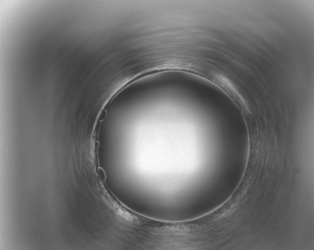 X0000067340900200604071348