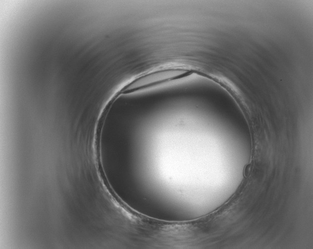 X0000067340902200604071348