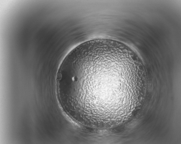 X0000067340903200604071348