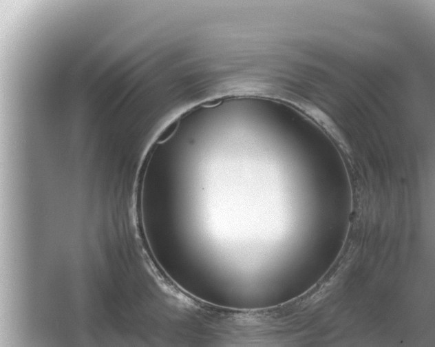 X0000067340904200604071348