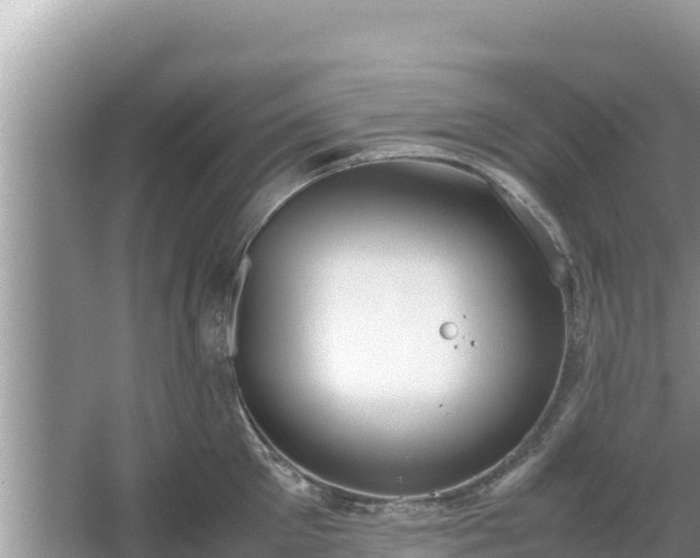 X0000067340905200604071348