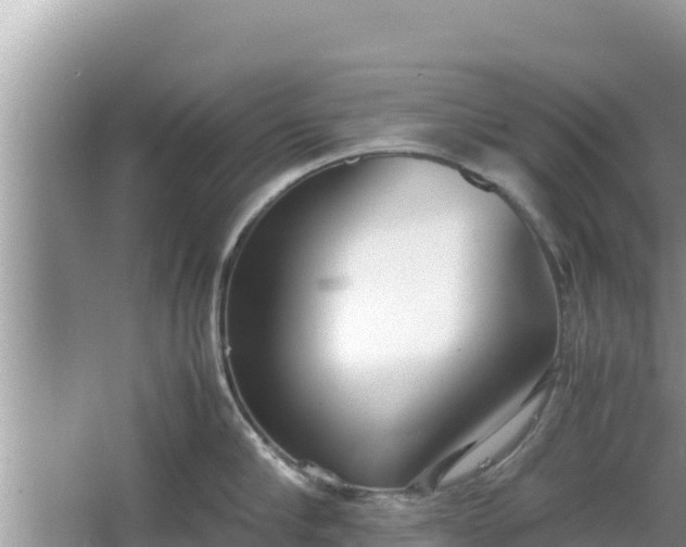 X0000067340910200604071348