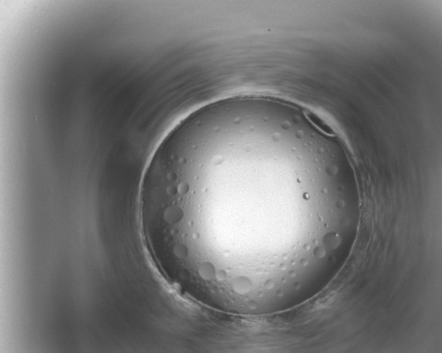 X0000067340911200604071348