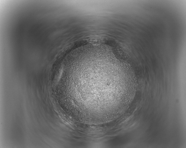 X0000067340913200604071347