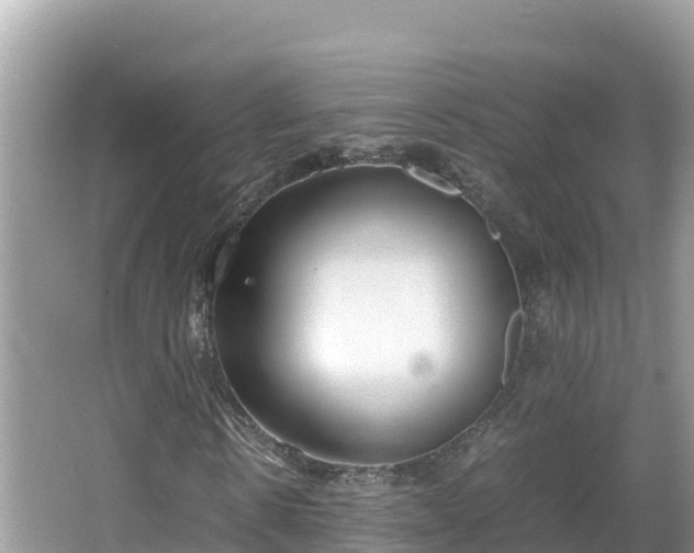 X0000067340914200604071347