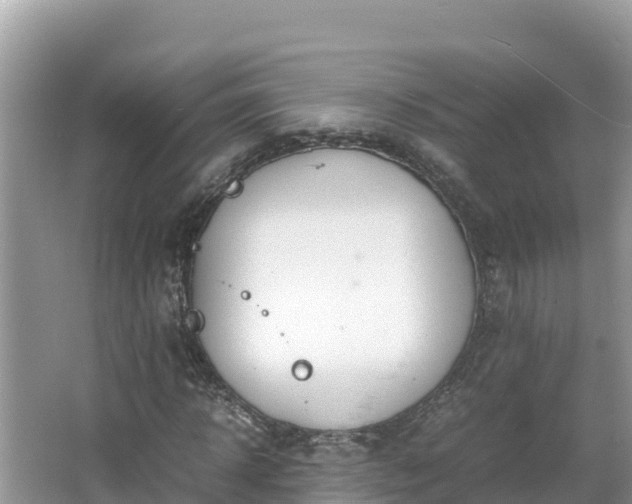 X0000067340918200604071347