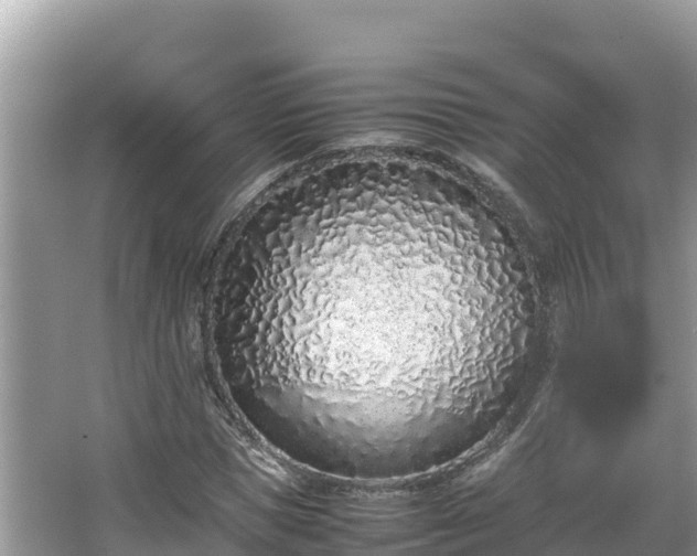 X0000067340921200604071347