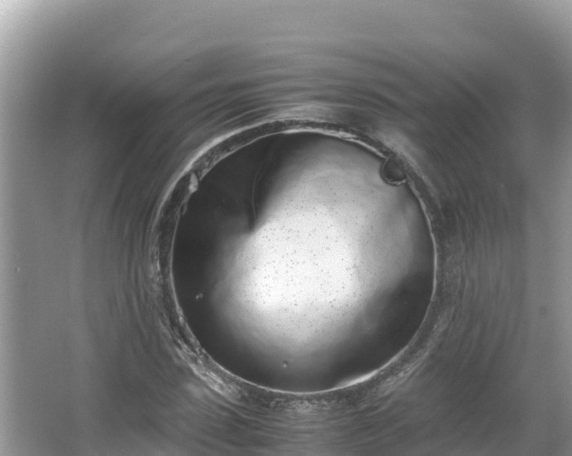 X0000067340923200604071347