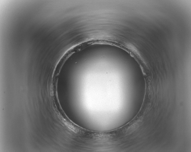 X0000067340924200604071347