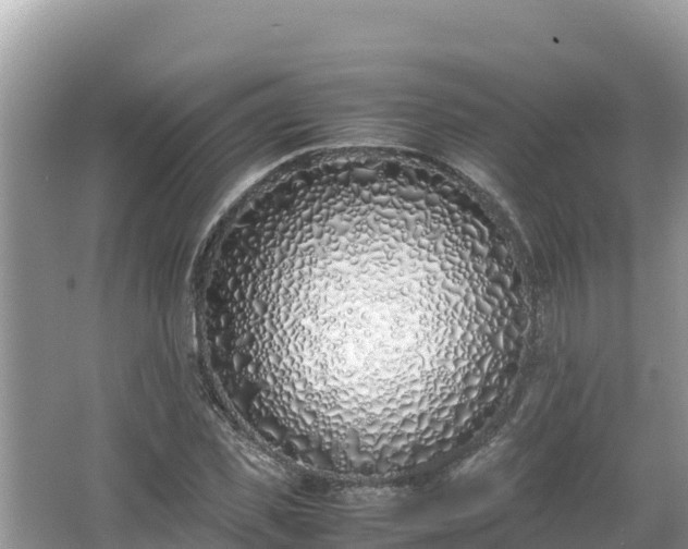 X0000067340925200604071347