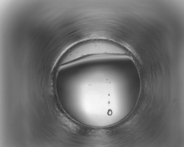 X0000067340926200604071347