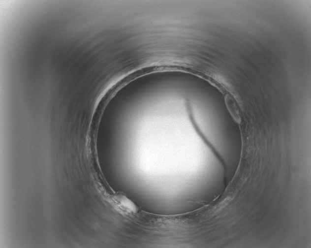 X0000067340928200604071347