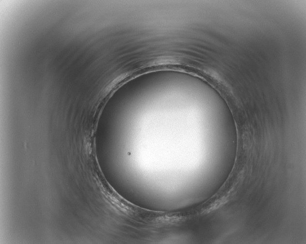 X0000067340929200604071347