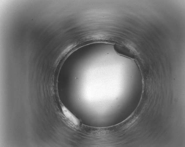 X0000067340930200604071347