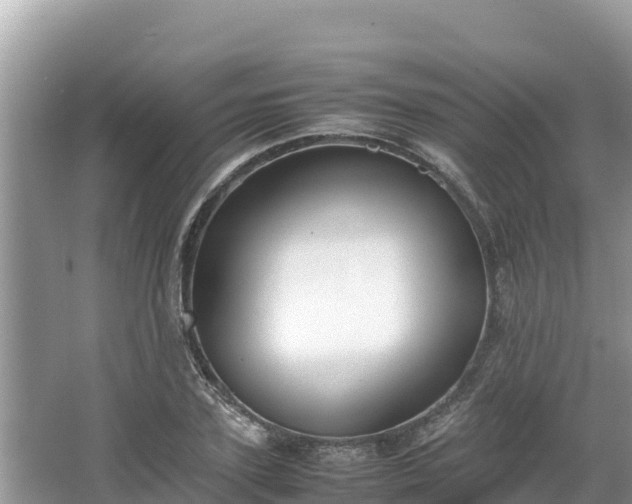 X0000067340931200604071347