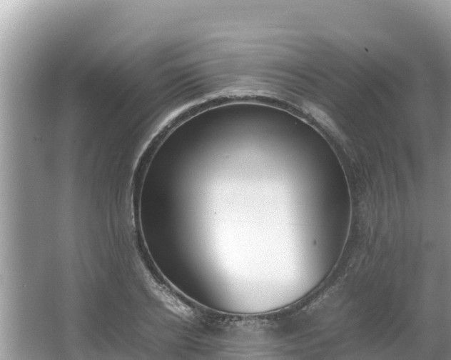 X0000067340934200604071347