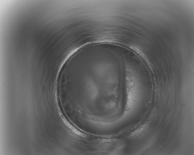 X0000067340941200604071347